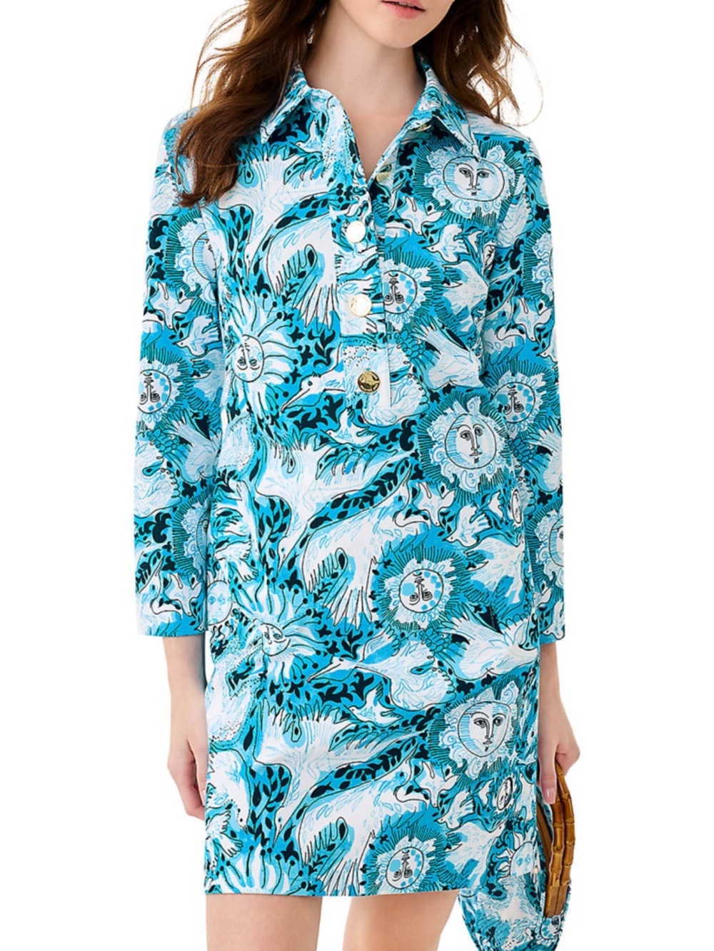 Lilly Pulitzer Gabi Blue and White Seaside Print Button-Front Dress